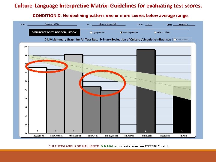 Culture-Language Interpretive Matrix: Guidelines for evaluating test scores. CONDITION D: No declining pattern, one