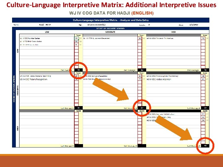 Culture-Language Interpretive Matrix: Additional Interpretive Issues WJ IV COG DATA FOR HADJI (ENGLISH) 