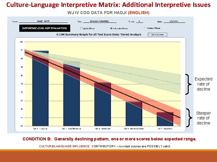 Culture-Language Interpretive Matrix: Additional Interpretive Issues WJ IV COG DATA FOR HADJI (ENGLISH) Expected