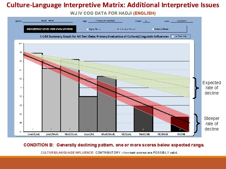 Culture-Language Interpretive Matrix: Additional Interpretive Issues WJ IV COG DATA FOR HADJI (ENGLISH) Expected