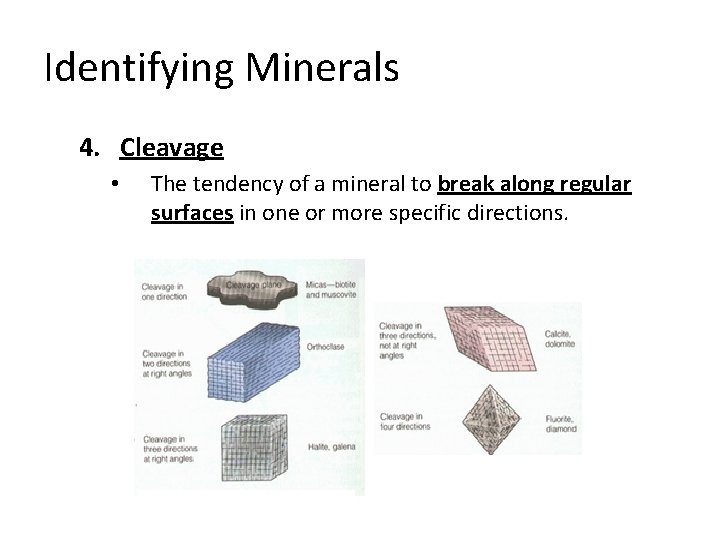 Identifying Minerals 4. Cleavage • The tendency of a mineral to break along regular