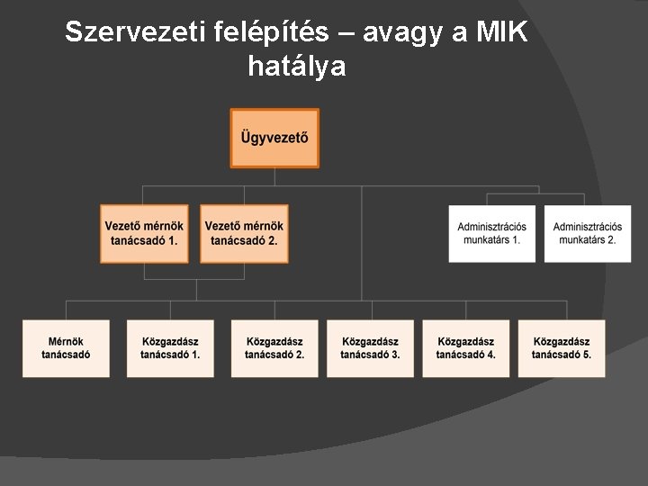 Szervezeti felépítés – avagy a MIK hatálya 