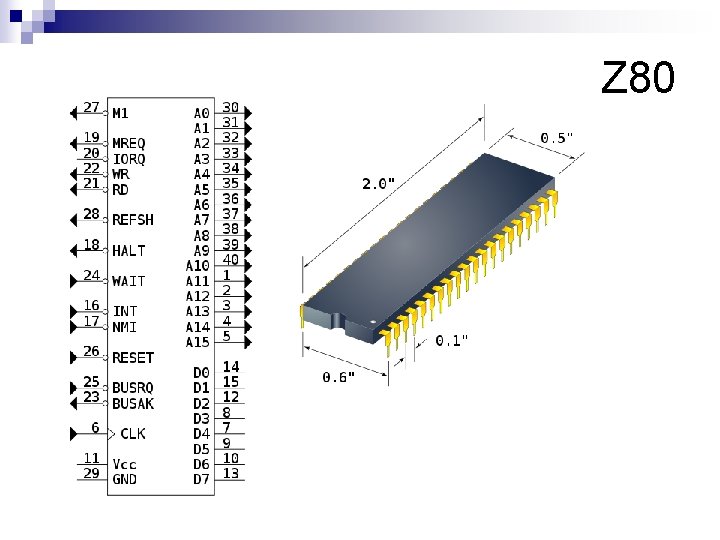 Z 80 