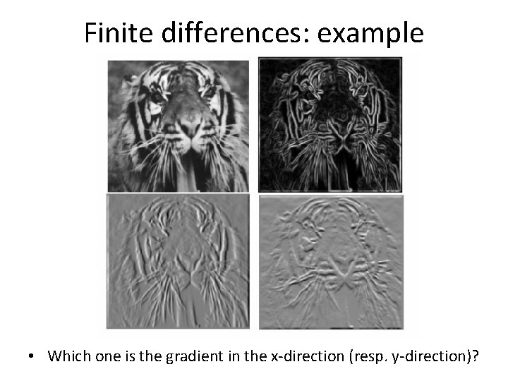 Finite differences: example • Which one is the gradient in the x-direction (resp. y-direction)?