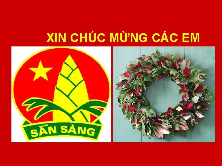 XIN CHÚC MỪNG CÁC EM 