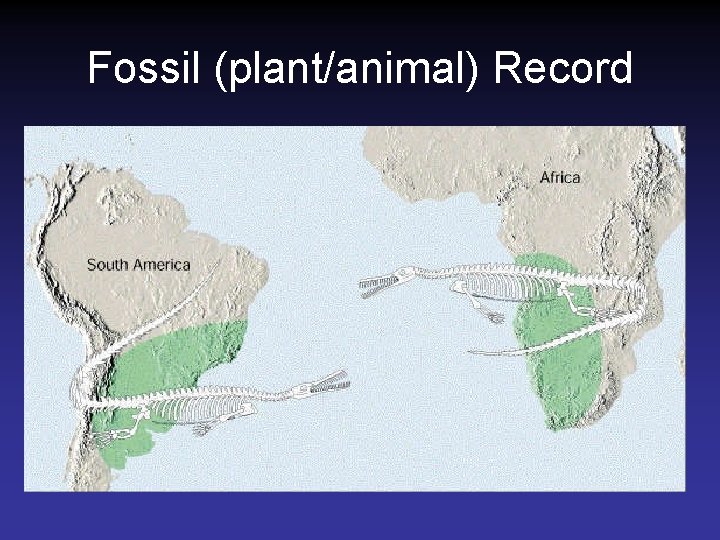 Fossil (plant/animal) Record Fossil (plant/animal) Record