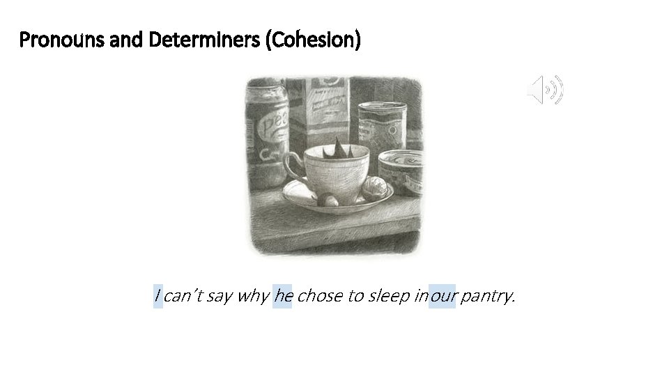 Pronouns and Determiners (Cohesion) I can’t say why he chose to sleep in our