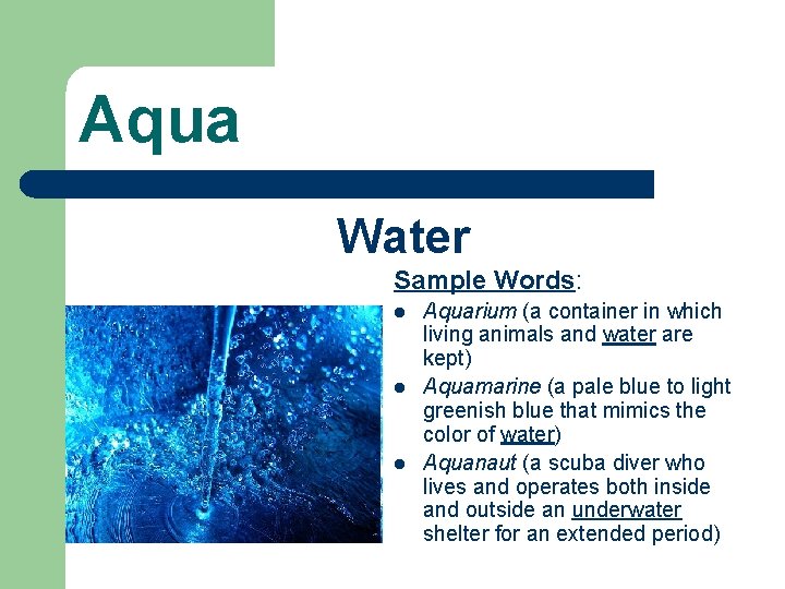 Aqua Water Sample Words: l l l Aquarium (a container in which living animals