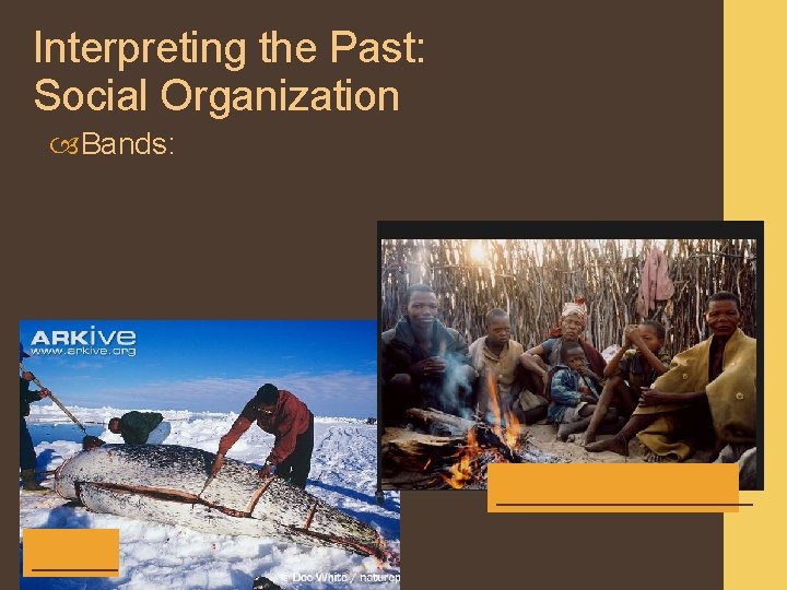 Interpreting the Past: Social Organization Bands: ________ 