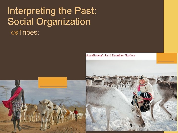 Interpreting the Past: Social Organization Tribes: _______ 