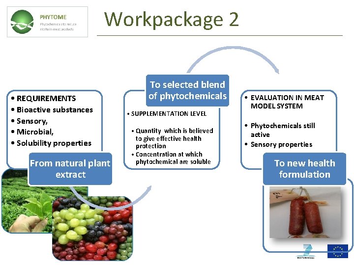 Workpackage 2 • REQUIREMENTS • Bioactive substances • Sensory, • Microbial, • Solubility properties