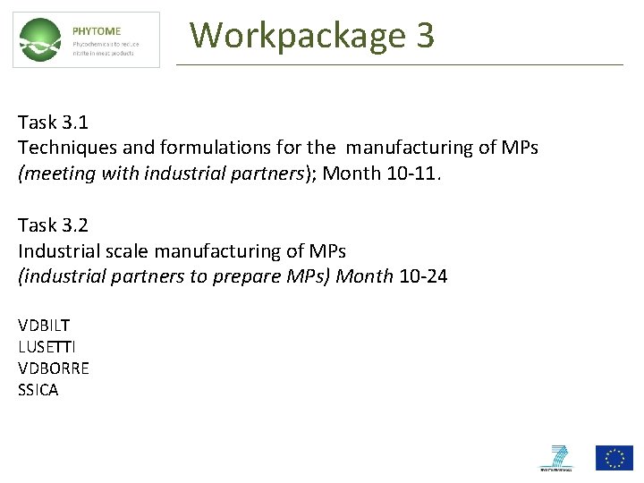 Workpackage 3 Task 3. 1 Techniques and formulations for the manufacturing of MPs (meeting