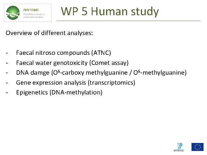WP 5 Human study Overview of different analyses: - Faecal nitroso compounds (ATNC) Faecal WP 5 Human study Overview of different analyses: - Faecal nitroso compounds (ATNC) Faecal