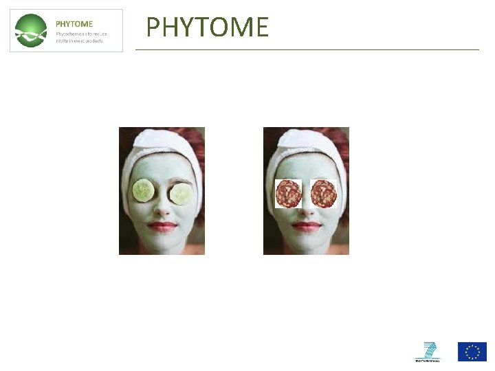 PHYTOME 