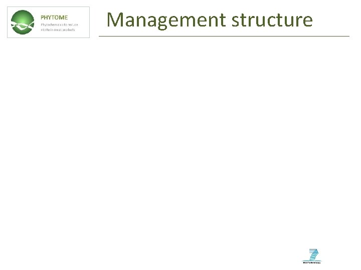 Management structure 