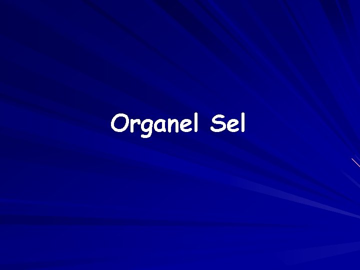 Organel Sel 