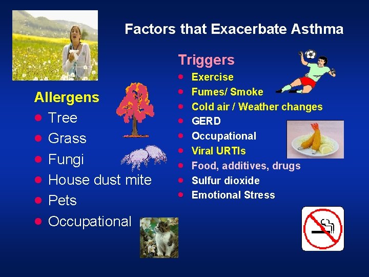 Factors that Exacerbate Asthma Triggers Allergens · Tree · Grass · Fungi · House