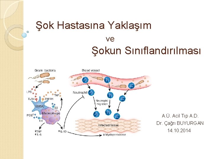 Şok Hastasına Yaklaşım ve Şokun Sınıflandırılması A. Ü. Acil Tıp A. D. Dr. Çağrı