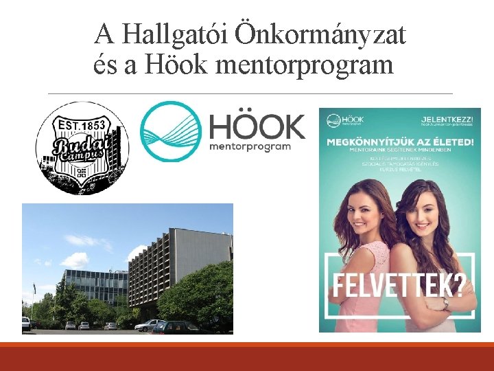 A Hallgatói Önkormányzat és a Höok mentorprogram 