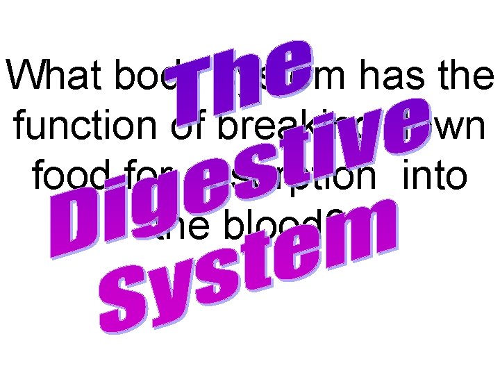 What body system has the function of breaking down food for absorption into the