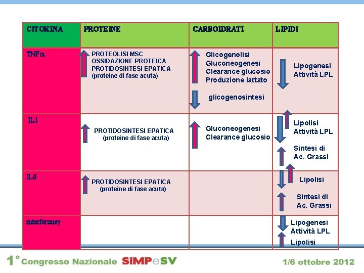 CITOKINA TNF PROTEINE PROTEOLISI MSC OSSIDAZIONE PROTEICA PROTIDOSINTESI EPATICA (proteine di fase acuta) CARBOIDRATI