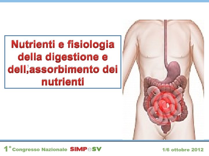 Nutrienti e fisiologia della digestione e dell’assorbimento dei nutrienti 