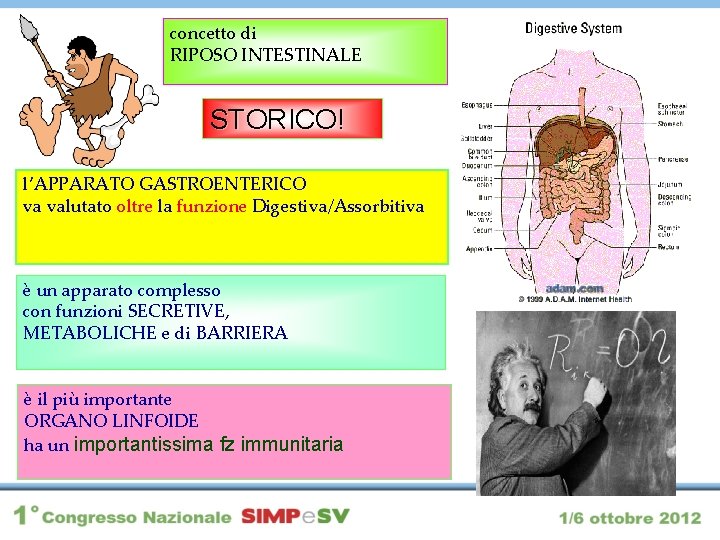 concetto di RIPOSO INTESTINALE STORICO! l’APPARATO GASTROENTERICO va valutato oltre la funzione Digestiva/Assorbitiva è