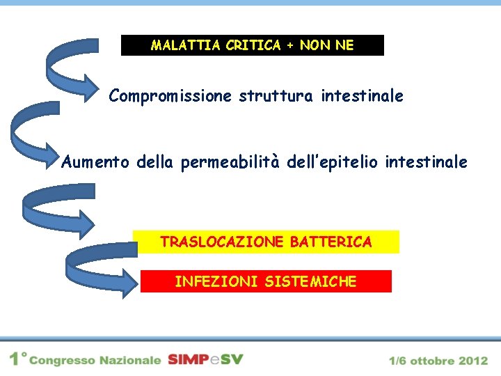 MALATTIA CRITICA + NON NE Compromissione struttura intestinale Aumento della permeabilità dell’epitelio intestinale TRASLOCAZIONE