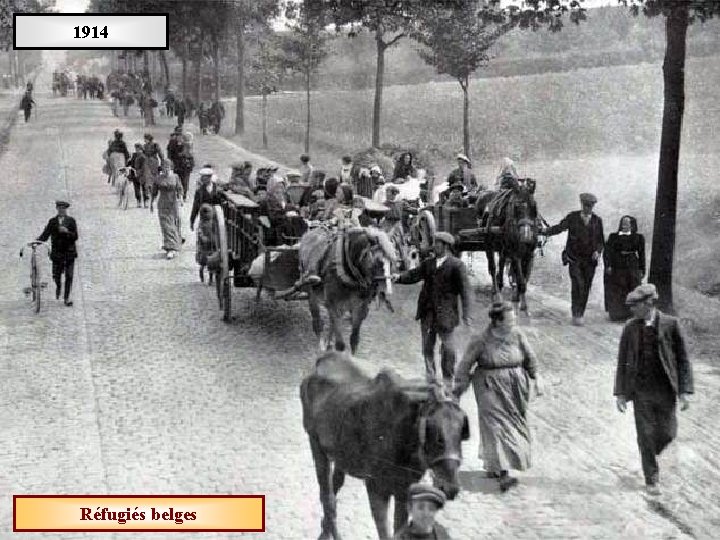 1914 Réfugiés belges 