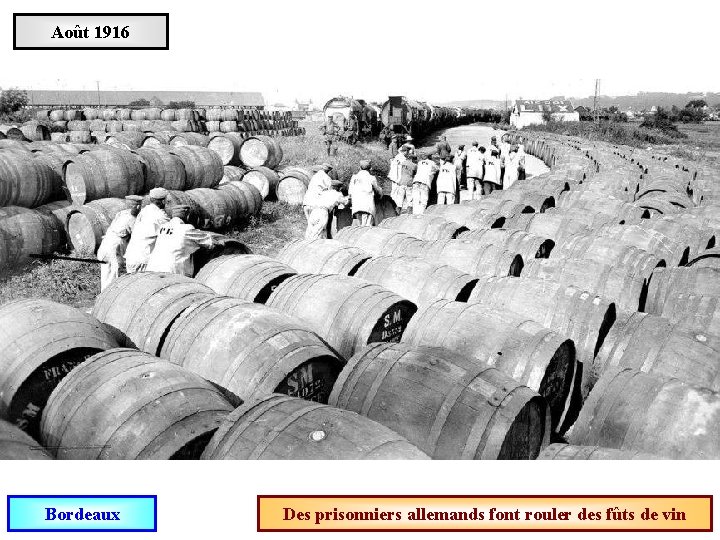 Août 1916 Bordeaux Des prisonniers allemands font rouler des fûts de vin 