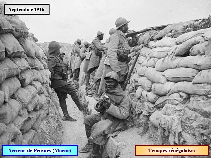 Septembre 1916 Secteur de Prosnes (Marne) Troupes sénégalaises 