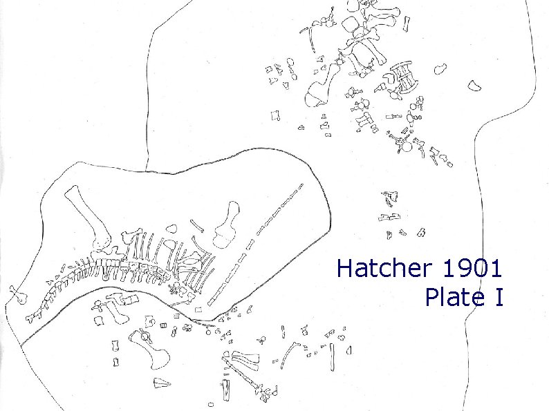 Hatcher 1901 Plate I Hatcher 1901 Plate I