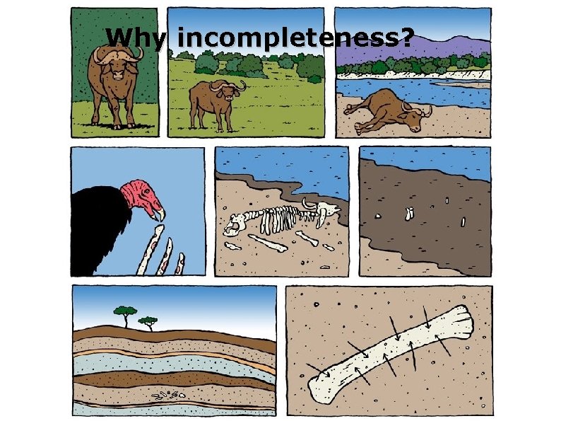 Why incompleteness? Why incompleteness?