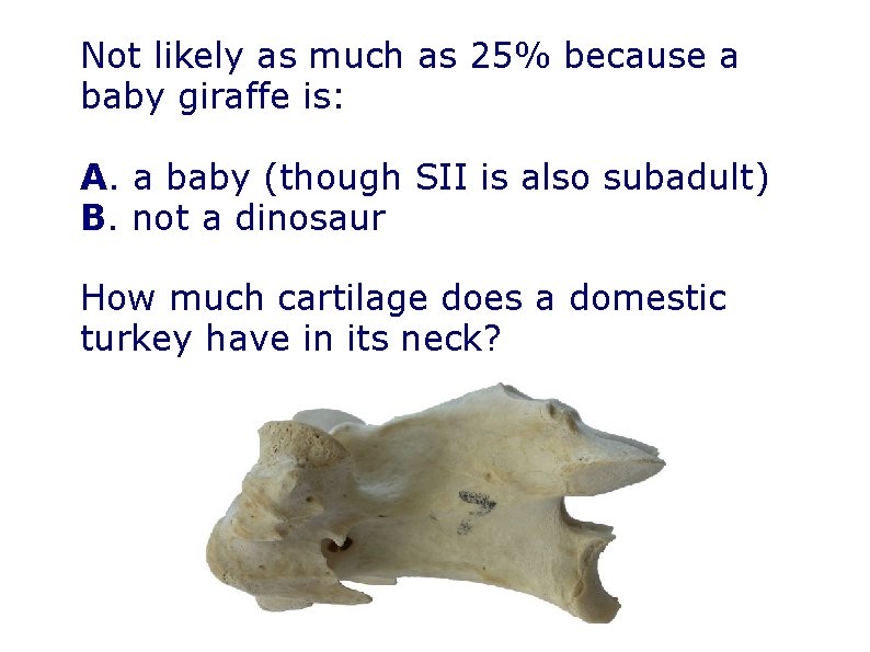 Not likely as much as 25% because a baby giraffe is: A. a baby Not likely as much as 25% because a baby giraffe is: A. a baby