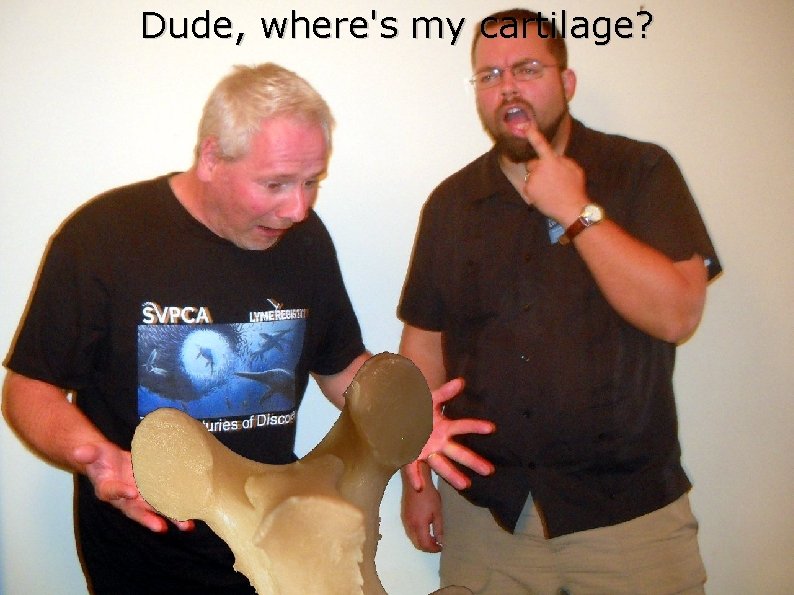 Dude, where's my cartilage? Dude, where's my cartilage?