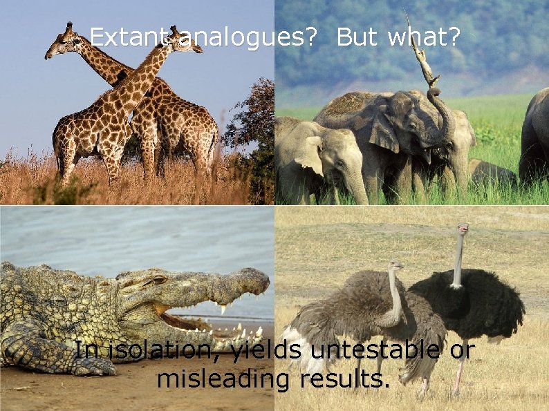 Extant analogues? But what? In isolation, yields untestable or misleading results. Extant analogues? But what? In isolation, yields untestable or misleading results.