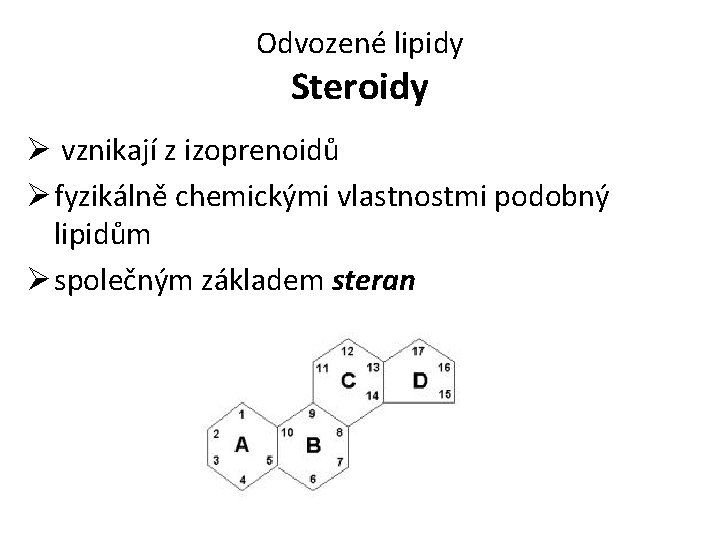 Odvozené lipidy Steroidy Ø vznikají z izoprenoidů Ø fyzikálně chemickými vlastnostmi podobný lipidům Ø