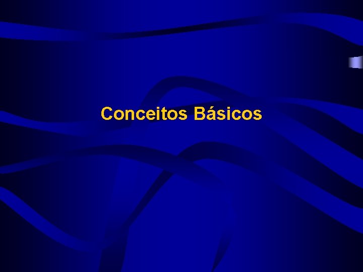 Conceitos Básicos 