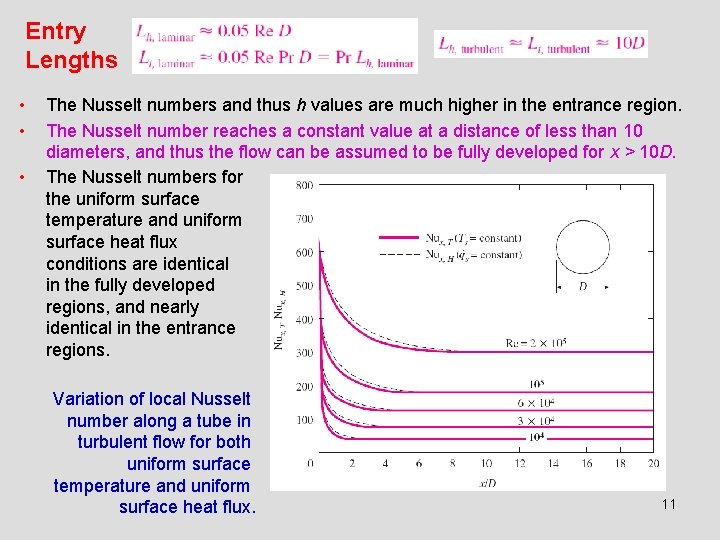 Entry Lengths • • • The Nusselt numbers and thus h values are much