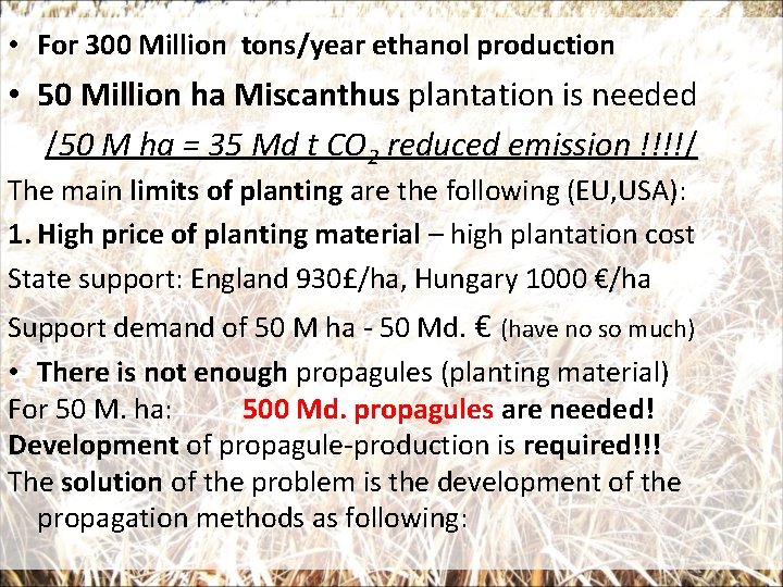  • For 300 Million tons/year ethanol production • 50 Million ha Miscanthus plantation