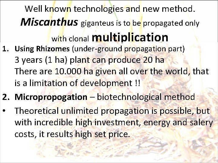 Well known technologies and new method. Miscanthus giganteus is to be propagated only with