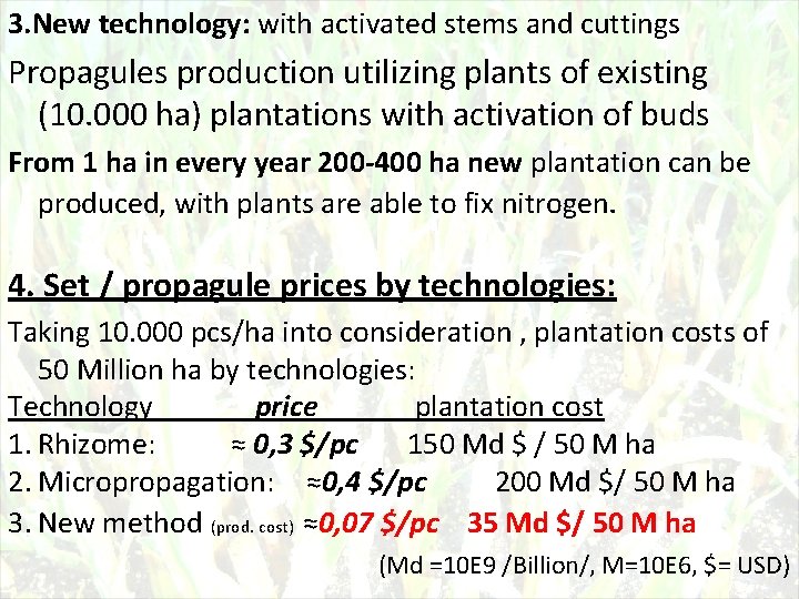 3. New technology: with activated stems and cuttings Propagules production utilizing plants of existing