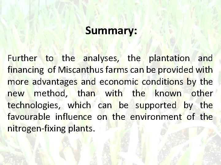 Summary: Further to the analyses, the plantation and financing of Miscanthus farms can be