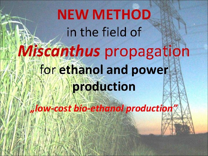 NEW METHOD in the field of Miscanthus propagation for ethanol and power production „low-cost