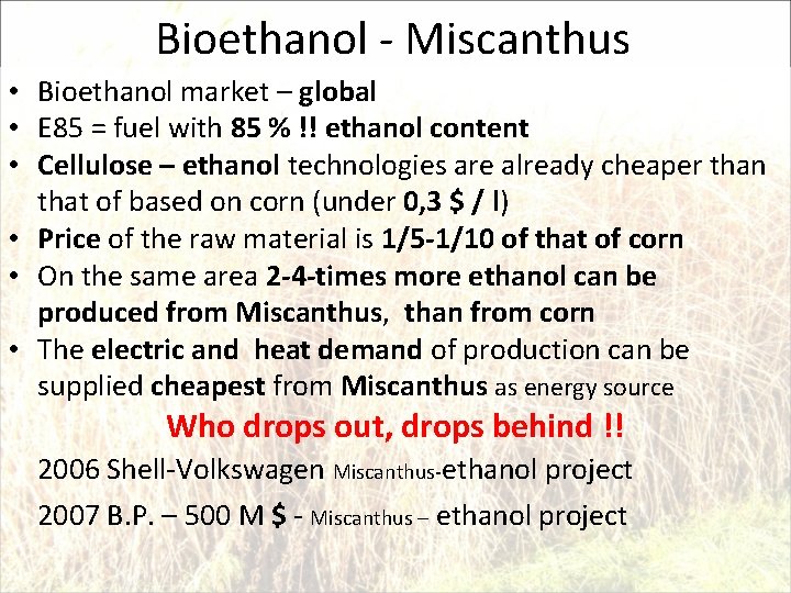 Bioethanol - Miscanthus • Bioethanol market – global • E 85 = fuel with