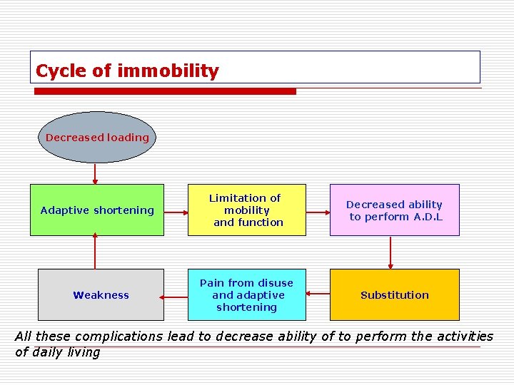 Cycle of immobility Decreased loading Adaptive shortening Weakness Limitation of mobility and function Decreased