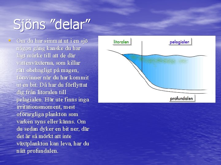 Sjöns ”delar” • Om du har simmat ut i en sjö någon gång kanske