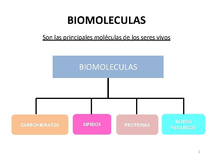 BIOMOLECULAS Son las principales moléculas de los seres vivos BIOMOLECULAS CARBOHIDRATOS LIPIDOS PROTEINAS ACIDOS