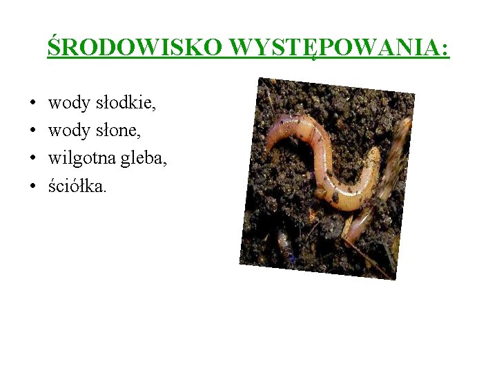 ŚRODOWISKO WYSTĘPOWANIA: • • wody słodkie, wody słone, wilgotna gleba, ściółka. 