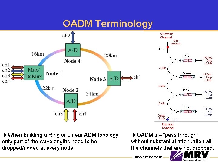OADM Terminology Common Channel 0. 6 d. B loss Express Channel 4 When building